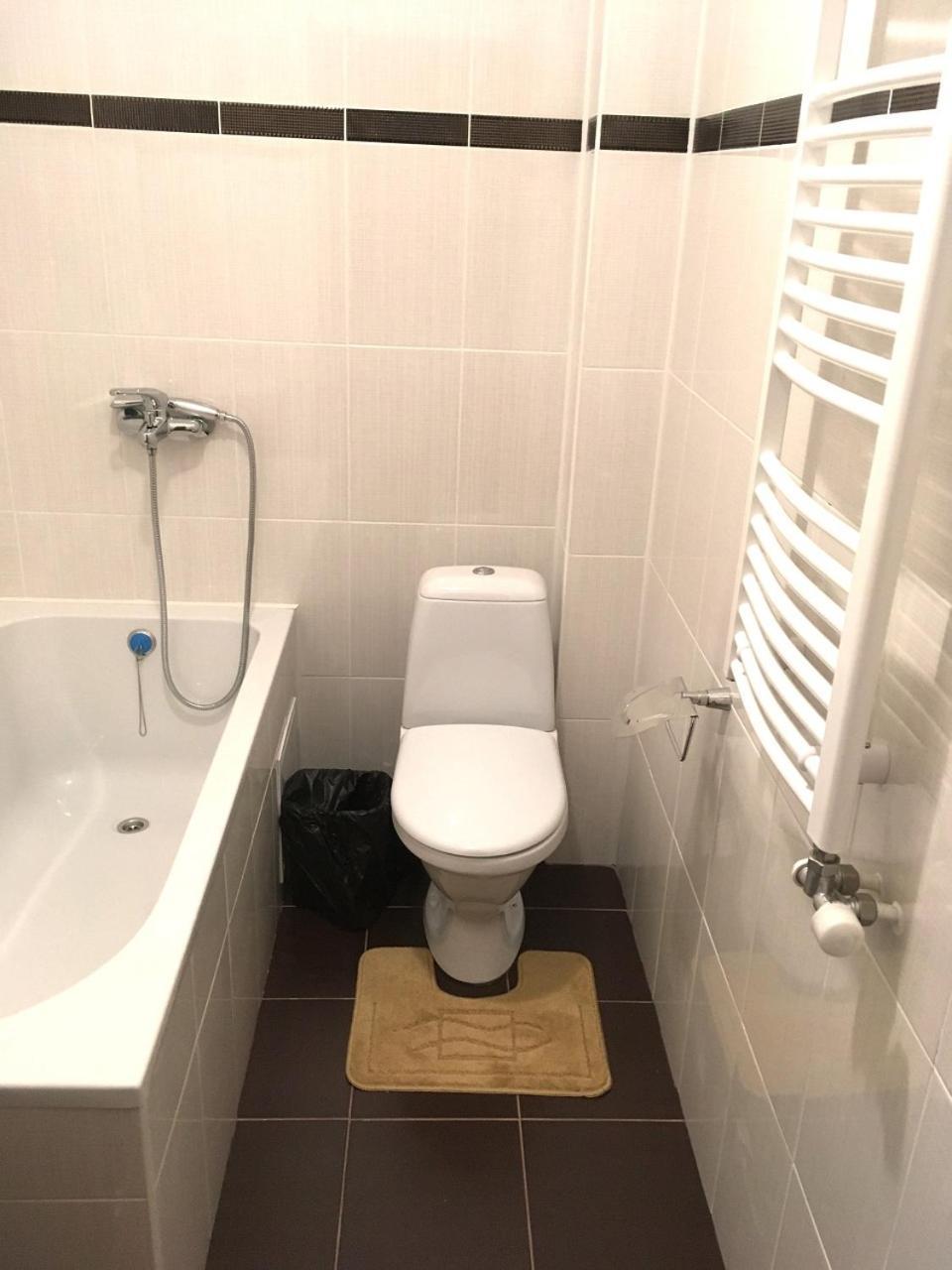 Apartaments in Karpaty Mizhhirya  Bagian luar foto