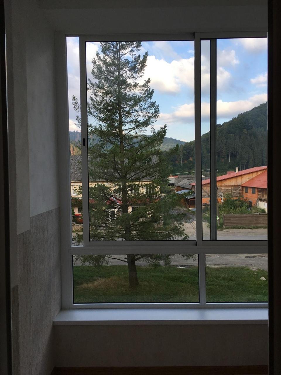 Apartaments in Karpaty Mizhhirya  Bagian luar foto
