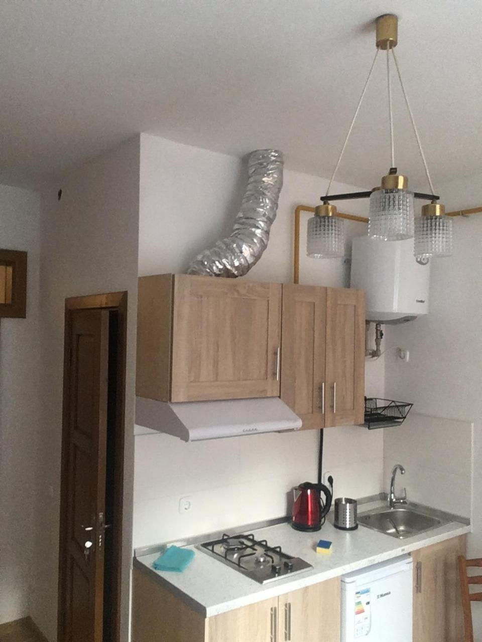 Apartaments in Karpaty Mizhhirya  Bagian luar foto