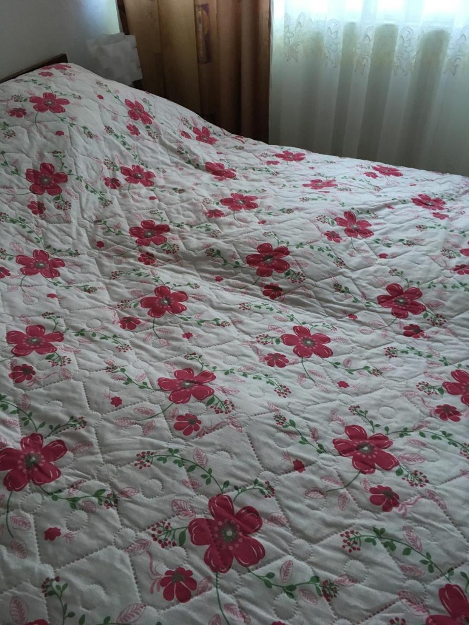 Apartaments in Karpaty Mizhhirya  Bagian luar foto