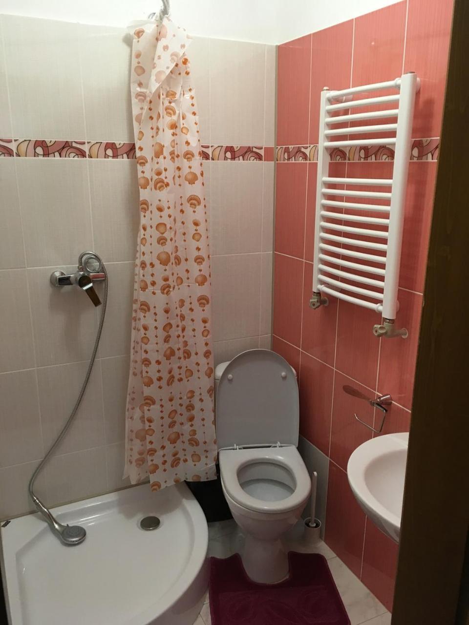 Apartaments in Karpaty Mizhhirya  Bagian luar foto