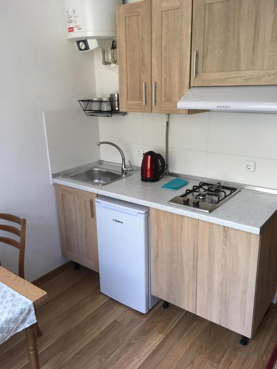 Apartaments in Karpaty Mizhhirya  Bagian luar foto