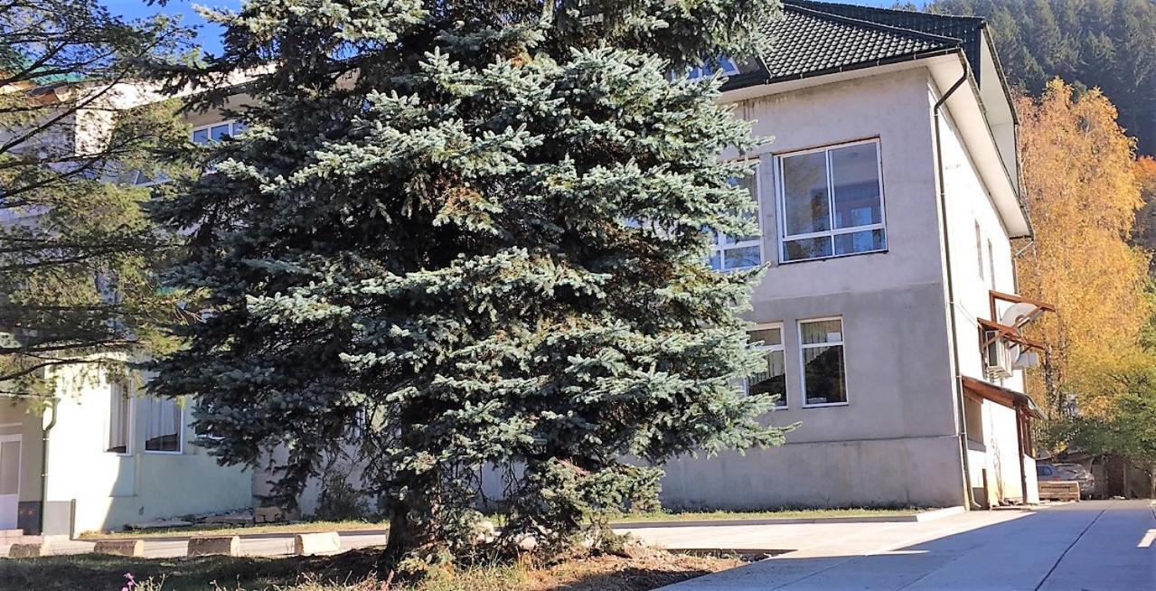 Apartaments in Karpaty Mizhhirya  Bagian luar foto